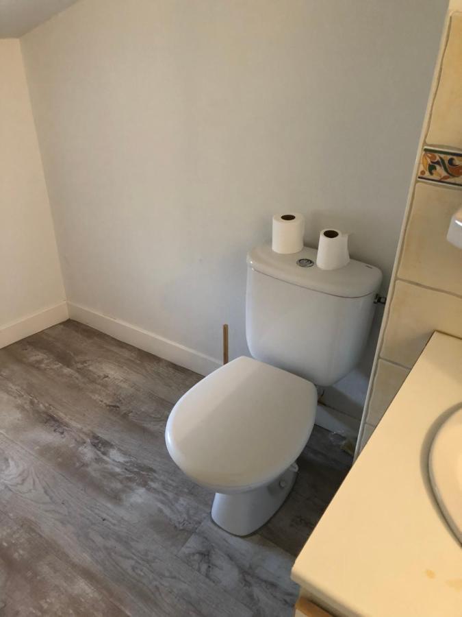Appartement Cosy Et Lumineux Caussens Eksteriør bilde